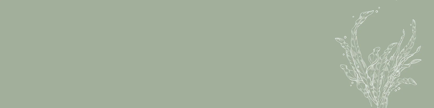 Vital Scalp