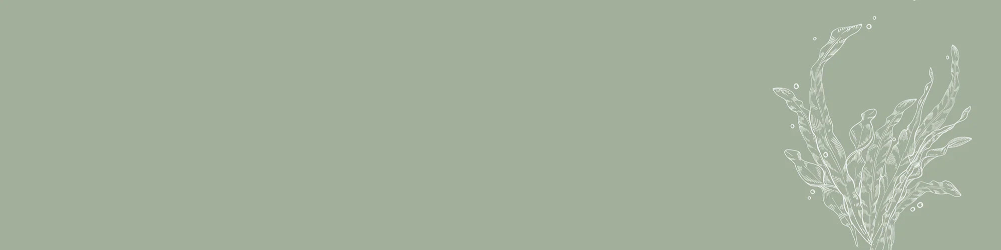 Vital Scalp
