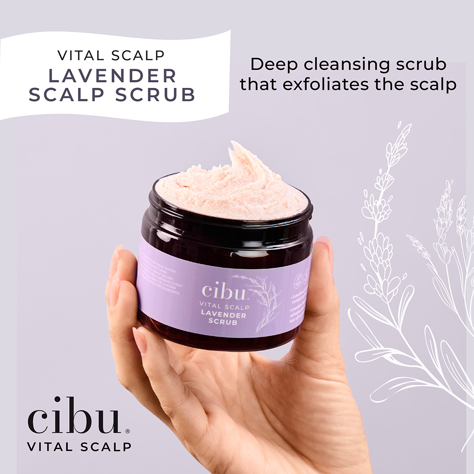 Jar of cibu Vital Scalp Lavender Scalp Scrub held in a hand with product description text on a light gray background.